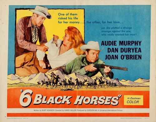 Six black horses starring - black,