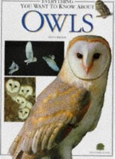 Everything You Want to Know About Owls,Dilys Breese