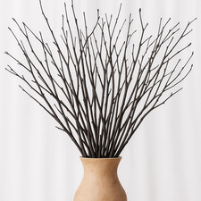 Birch Twigs Decorative Sticks