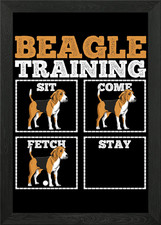 Beagle Dog Training Dog Tr
