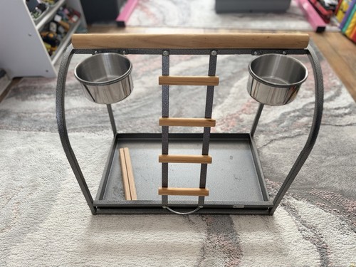 Parrot stand bird play - parrot,