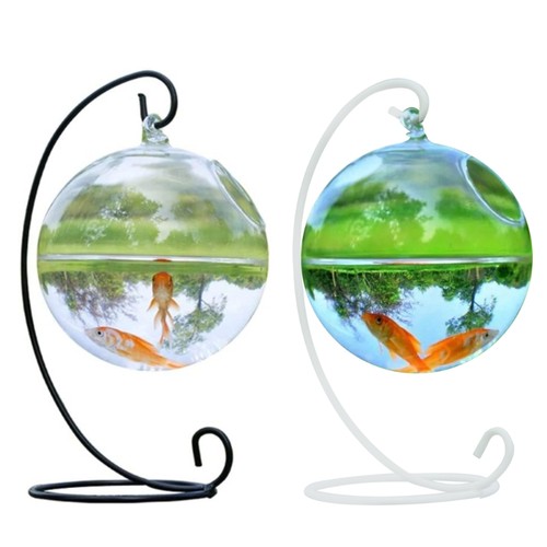 Round shape hanging - hanging, glass