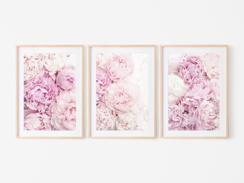 Soft pink flowers - soft, x