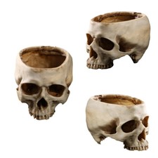 Gothic human skull planter - gothic,