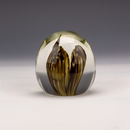 Strathearn orchid glass - strathearn,