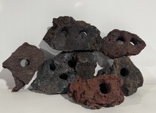 LAVA ROCKS (Set of 6) w/ Swim