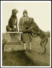 DEERHOUND DOGS AND LADY OWNER