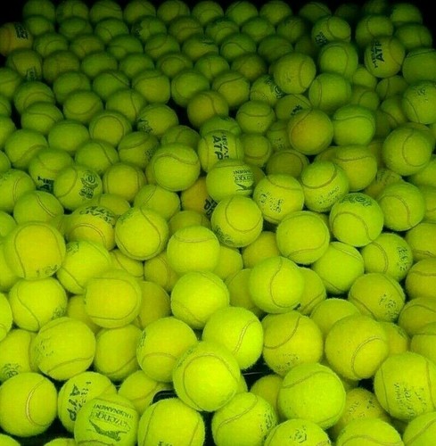 Used tennis balls for - balls, dogs