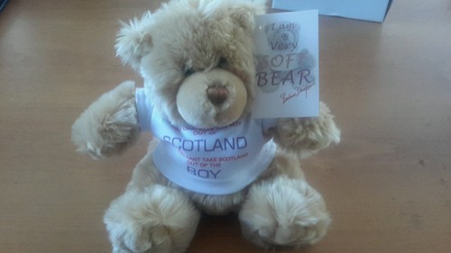 Scottish teddy bear - teddy, 'you