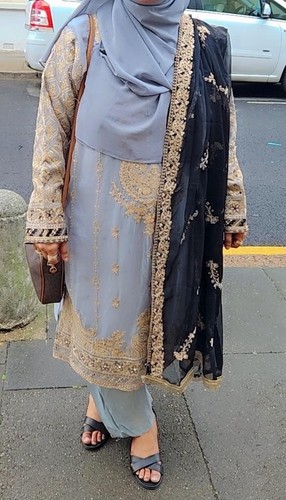 Indian dress embroidered asian - indian,