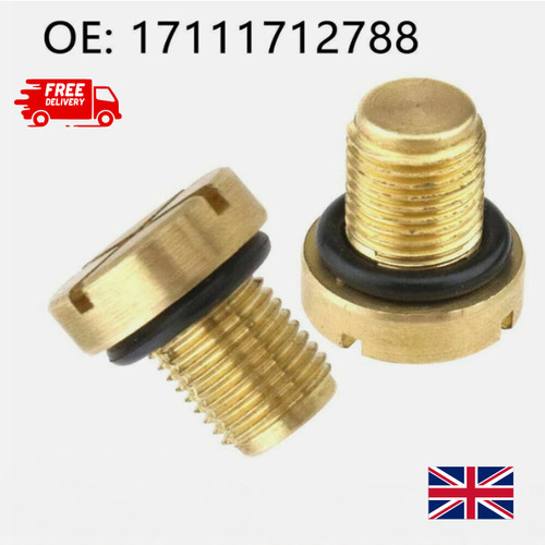 Vent screw brass radiator - vent,