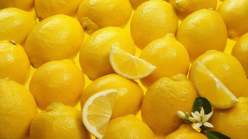 Meyer lemon tree - meyer,