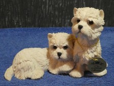West highland terrier puppies - west,