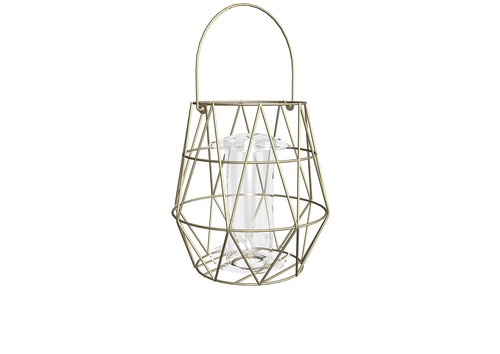 Gardman aura small wild bird - wild,