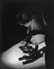 Scientist at work looking in