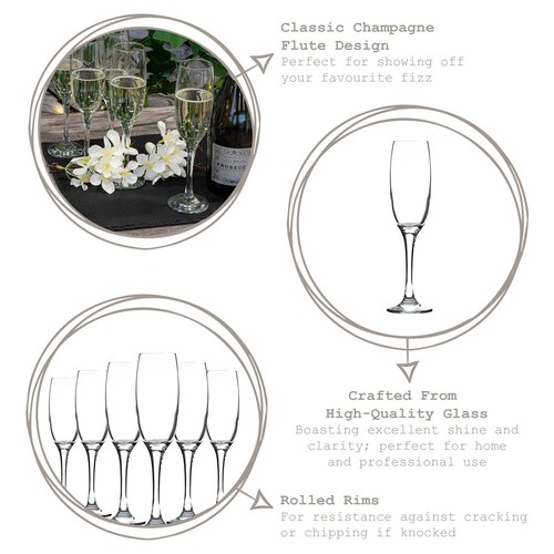 Venue glass champagne flutes - venue,