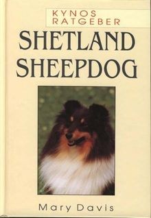 Shetland sheepdog kynos - shetland, (kynos