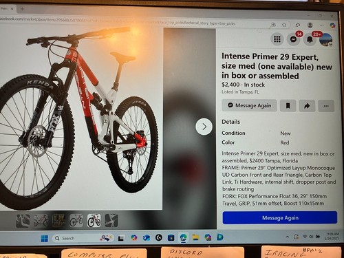 Intense primer 2023 - intense, in