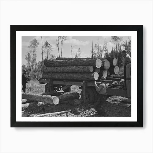 Unloading timber from truck - timber,