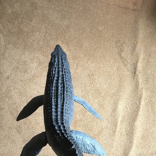 Grey prehistoric sea - grey,