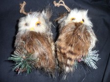 Pair owl christmas - of, tree