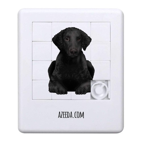 Curly coated retriever - 'curly, retriever'