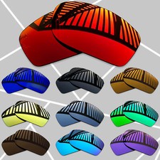 TRUE POLARIZED Replacement