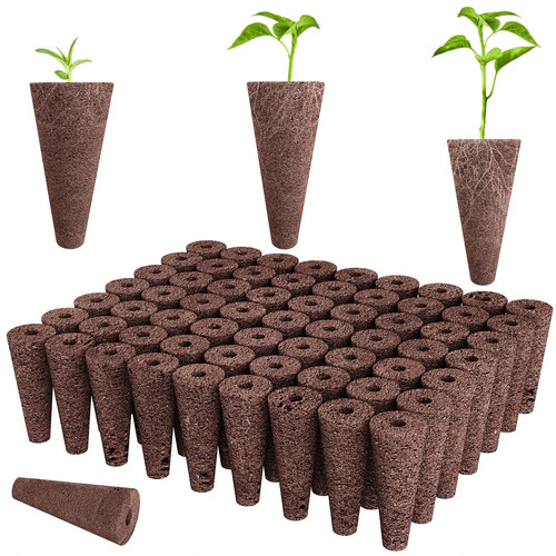 50pcs seed pods - 50pcs,