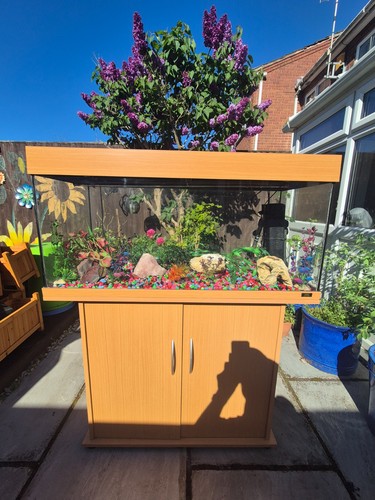 180l juwel fish - fish, with