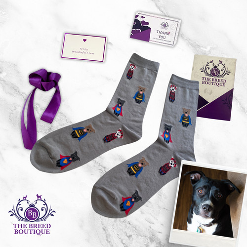 Staffordshire bull terrier - bull,