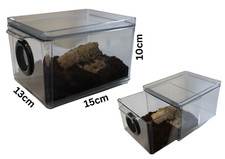 Professional Grade Insect