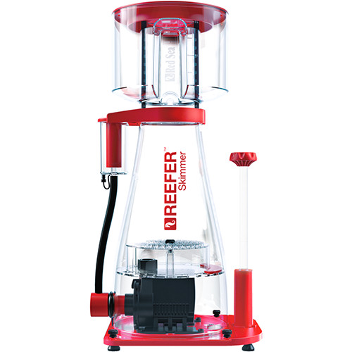 Red sea rsk - red, protein