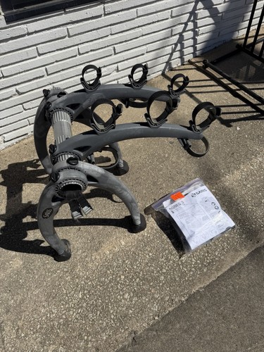 Saris bones trunk - bones,