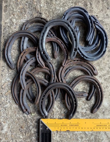 Old new stock horse shoes - new,