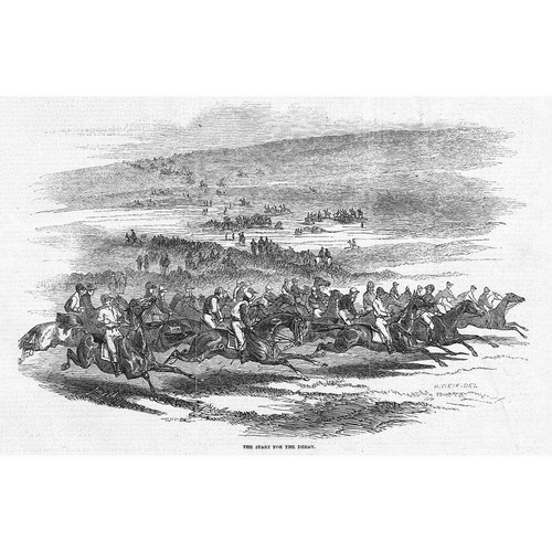 Horse racing start the - start, of