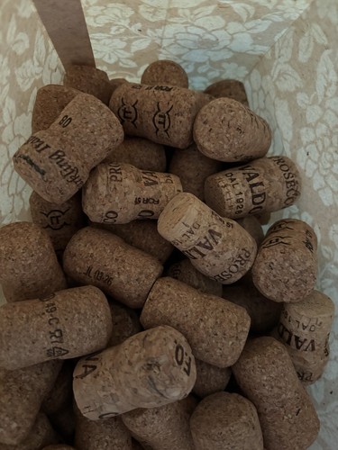 Champagne cava prosecco - 40,