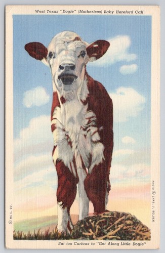West texas dogie - west,