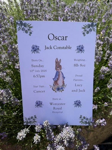 Peter rabbit birth - peter,