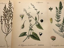 Illustration Pictures