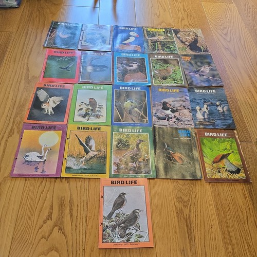 Bird life magazine bundle - life,