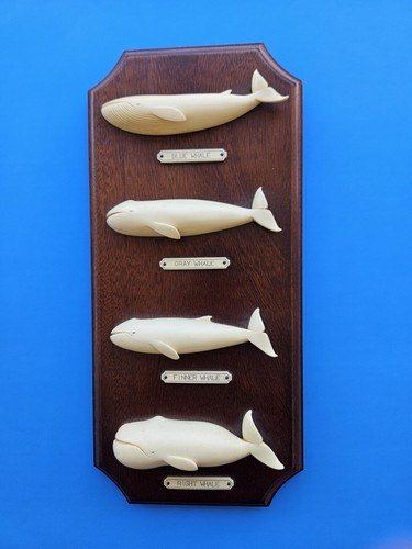 Artek whales walnut wall - walnut,