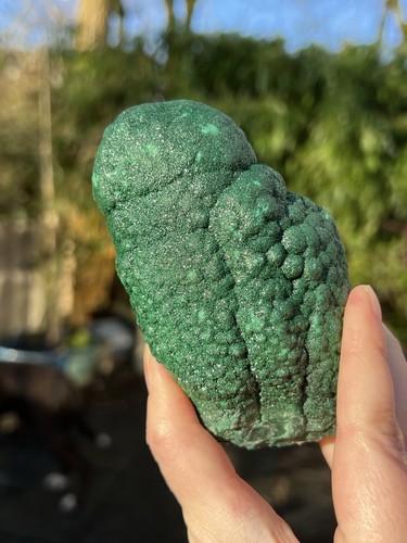 Large malachite stalactite - large,