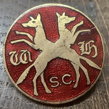 Sir Watkin Williams Wynns Hunt Vintage Enamel Badge.