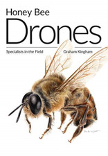 Honey Bee Drones: Specialists in the Field -  NEW Graham Kingham 2019