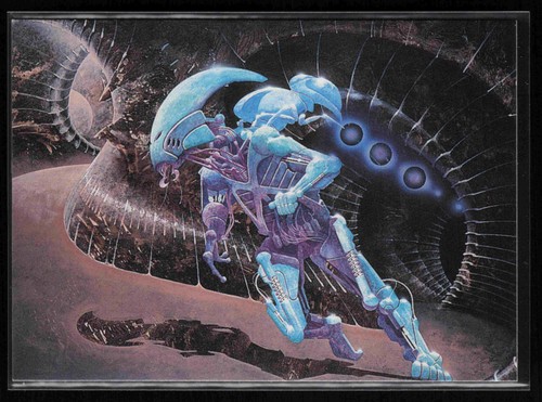 1993 fpg roger - fpg, #79