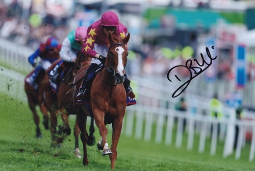 Horse racing dylan browne - horse,