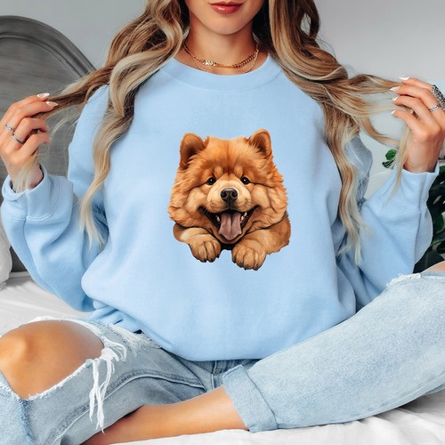 Chow dog - chow, animals