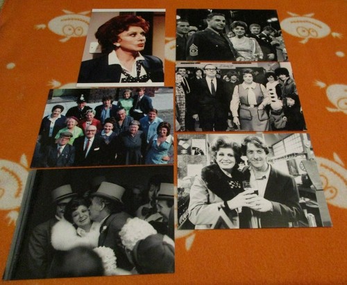 Pat phoenix violet - phoenix,