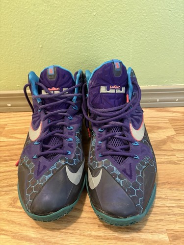 Nike lebron court - nike, xi