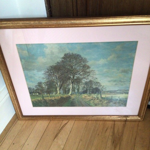 James mcintosh patrick print - james,